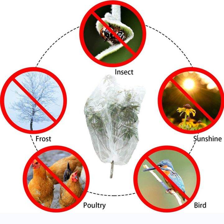 20-50-100pc-vegetable-and-fruit-protection-bag-pest-control-bird-proof-mesh-bag-strawberry-grape-orchard-bagging-mesh-cover