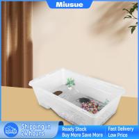 Miusue ถังเต่าพิพิธภัณฑ์สัตว์น้ำ,ที่อยู่อาศัยของสัตว์เลื้อยคลานสำหรับกบเต่าสัตว์ครึ่งบกครึ่งน้ำ