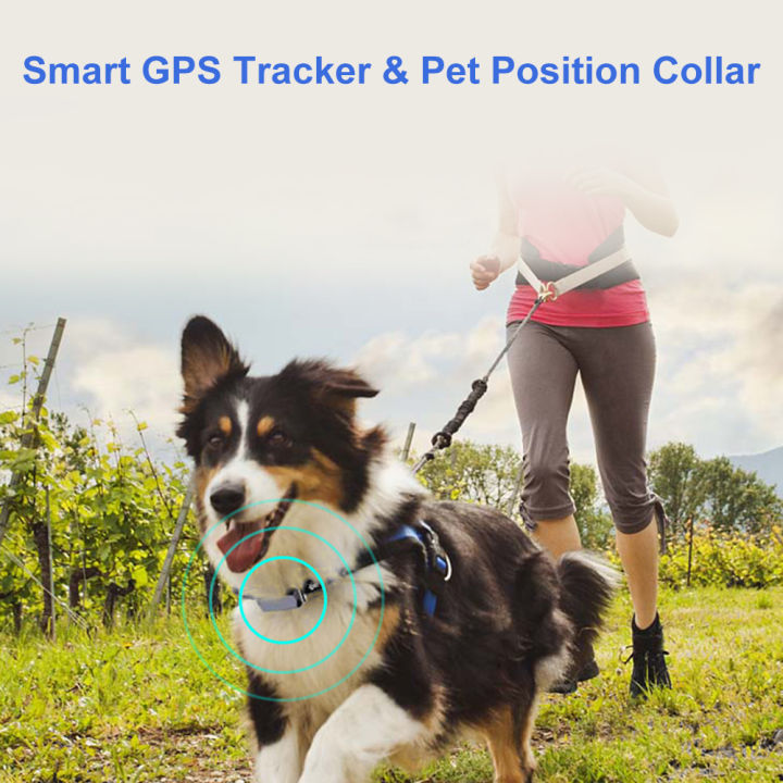 waterproof-ip67-mini-pets-gps-agps-lbs-wifi-tracker-real-time-tracking-collar-dog-cat-find-device-bell-rings-tracking-locator