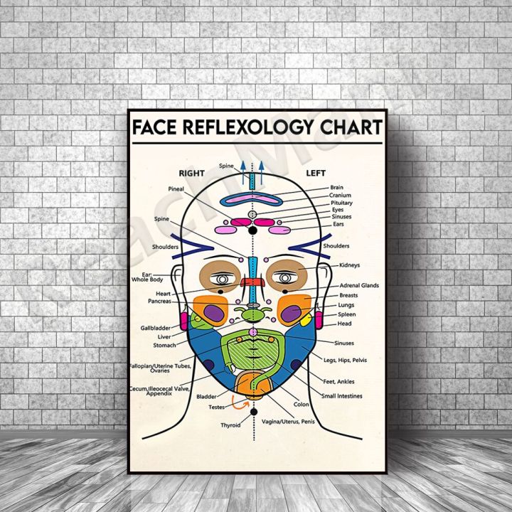 Facial Refleology Chart, Detailed Diagram of Facial Anatomy Art Print