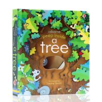 Usborne Peep Inside A Tree หนังสือเด็ก หนังสือภาษาอังกฤษ