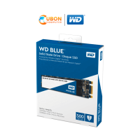 SSD WD BLUE 500GB SATA M.2 2280 (WDS500G2B0B)