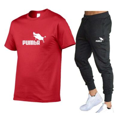 Mens Casual Tracksuit Summer Clothes Sportswear Two Piece Set T-Shirt nd Track Clothing Male Sweatsuit Sports Suits S-3XL