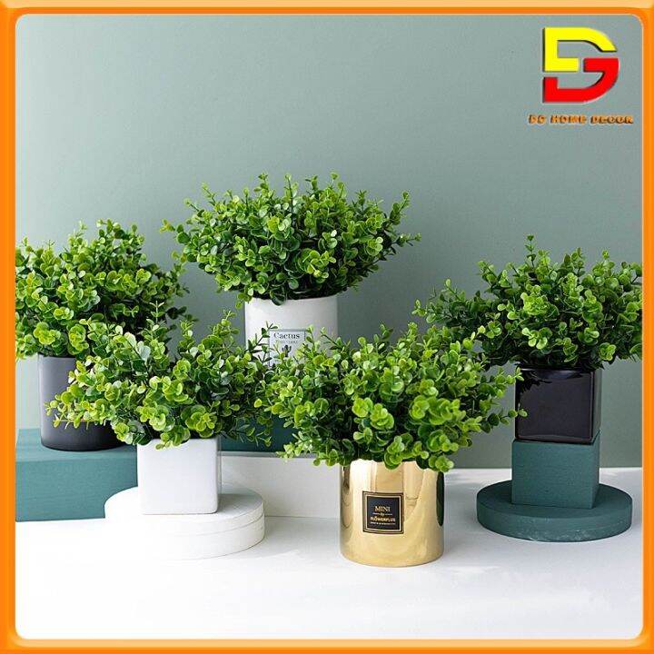 Chậu Cây Kim Tiền Xanh Cây Giả Decor Để Bàn Làm Việc Trang Trí Nhà Cửa Cao  35Cm Dg-61 | Lazada.Vn