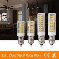 Led Lights E14 220v