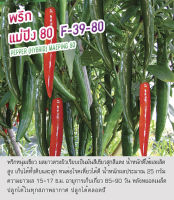 เมล็ดพันธุ์ พริกหนุ่ม พริกเขียว พริกแม่ปิง พริก (ทำซอส) - Pepper Maeping 80 ตราดอกแตง เมล็ดพันธุ์คุณภาพ "เพื่อนเกษตรกร"