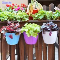 【Ready Stock】 ✆✳┅ D50 [Starsky] Gardening Flower Pots Creative Wall Lazy Flower Pots Plastic Flower Plate