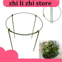 zhilizhi Store 5pcs 10pcs Round Metal Garden Veg Flower plant Stand Support Stake holder Climbing Orchard Fixing Rod Gardening Bonsai Tool 30cm