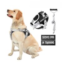Explosion Proof Pet Chest Strap Large Dog Traction Rope Vest Reflective Chest Strap
