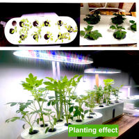 50Pcs Growing Sponge See .D การงอก Pod เปลี่ยน Root Growing Sponge Kit Supplemental Pod Hydroponic Indoor Garden Planting