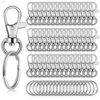 ♦ 10pcs Fashion Keychain Hardware Kit Ring with Swivel Clasps Lanyard Snap Hook Keychain Rings for DIY Crafts Jewelry Making