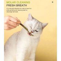 6 Sticks Catnip Chews Molar Kittens Cleaning Teeth Bite-resistant Products