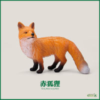 ? Sile Toy Store~ Collecta I, You, 88001 The Red Fox Fox Simulation Wild Animal Model Toys Childrens Cognition