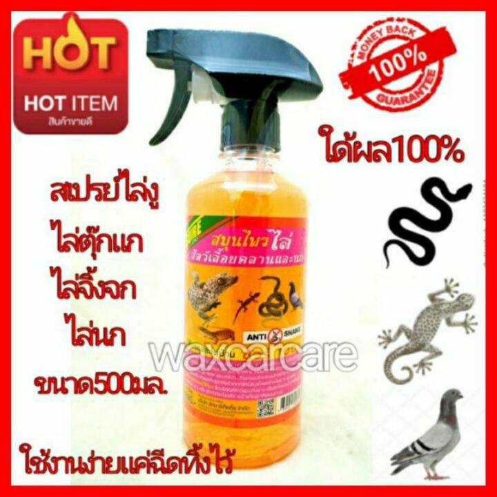 สเปรย์ไล่จิ้งจก-นก-งู-ตุ๊กแก-anti-snake-bird-gecko-lizard-spray-ไล่สัตว์เลี้อยคลานลิ้นสองแฉก