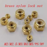 ❂☄ 2-10PCS M2 M3 M4 M5 M6 M8 m10 m12 brass nylon insert lock nut