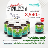 โปร 6 FREE 1 (7 ขวด) Magicus Bond มาจิคัสบอนด์ "เซซามิน" ในน้ำมันงาดำ สกัดเย็น เพื่อกระดูกบาง พรุน กระดูกเสื่อม ปัญหาเรื่องผม EXP : 21/10/24