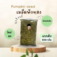 เม็ดฟักทอง ดิบ [ขนาด 500 กรัม] นำเข้า ใหม่