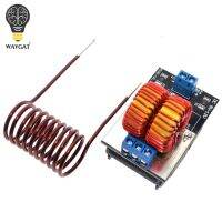 WAVGAT 5-12V ZVS Low Voltage Induction Heating Power Supply Module induction heating power supply with Coil