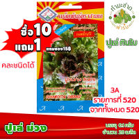 (ซื้อ10แถม1) เมล็ดพันธุ์ ปูเล่ ม่วง Purple Ornamental kale ประมาณ 20เมล็ด 3A สามเอ ผักสวนครัว เมล็ดพันธุ์พืช เมล็ดผัก เม็ดผัก พืชผัก