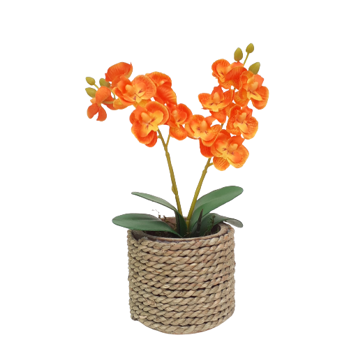 Bunga Anggrek Bulan dengan Vas Bambu lilit tali Rami untuk Hiasan Meja ...
