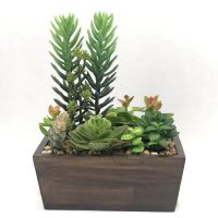 OrientalFineArt สวนจิ๋ว สวนถาด Succulent plant ไม้อวบน้ำปลอม แคคตัสปลอม จัดในกระถางไม้ทรงสี่เหลี่ยม