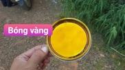 Sơn Bóng cánh gián, Sơn bóng vàng - Sơn gô, giả gỗ 1K Yes Paint - Mau khô