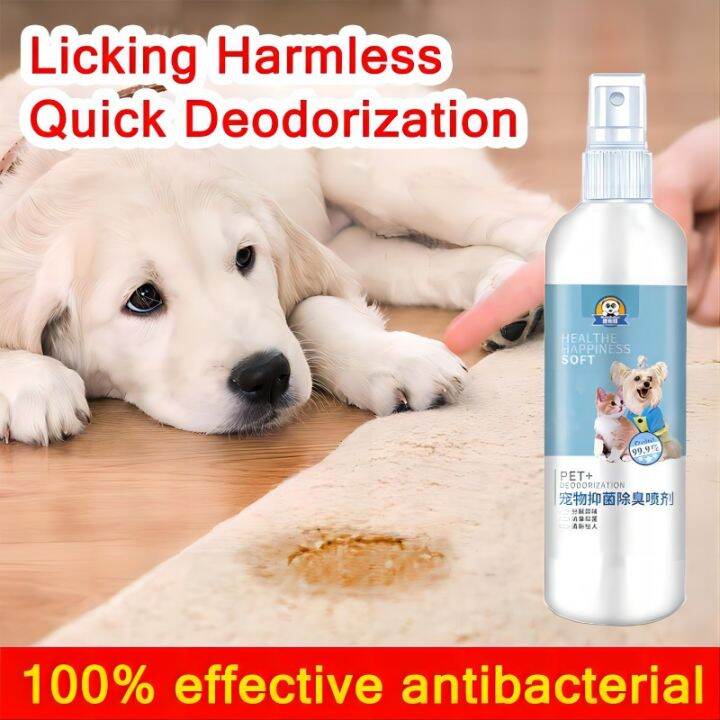 Keep cats and dogs away Qns Pawpal cat repellent Cat repellent spray Cat repellent outdoor Plant