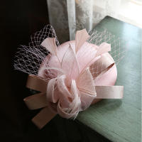 2021Women Chic Headdress Cocktail Wedding Party Church Headpiece kentucky Headwear Feather Hair Accessories Veil Fascinator Hat