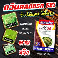 ควินคลอแรก 50% ขนาด 250 กรัม ? สารกำจัดวัชพืช ในนาข้าว กำจัดหญ้าข้าวนก ลิเก กระดูกไก่ ดอกขาว ข้าวไม่โทรม