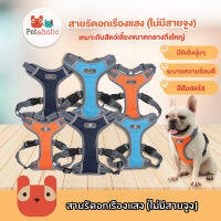 Petaholic (AB119) F.I.T. สายรัดอกเรืองแสง สายรัดอก สายรัดอกสัตว์เลี้ยง Adjustable Harness