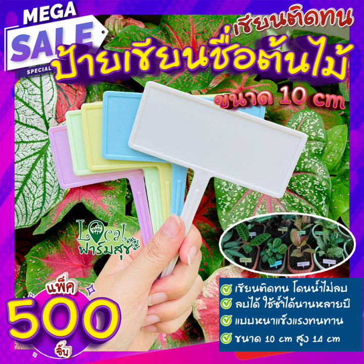 แพ็ค-500-ชิ้น-ป้ายชื่อต้นไม้-10-cm-เขียนติดทน-หนา-แข็งแรง-ลบได้-ใช้ซ้ำได้นาน-ไม่โค้งงอ-ป้ายเขียนชื่อต้นไม้-ป้ายเขียนชื่อผัก-homes