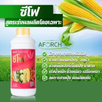 ปุ๋ยน้ำซีโฟ (ของแท้) 1ขวด1,000 ซีซี ปุ๋ยสูตรเร่งผลผลิต ช่วยให้พืชมีสีเขียวเข้มมากขึ้น