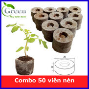 Combo 50 Viên Nén Xơ Dừa Viên Nén Ươm Hạt