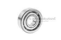 ตลับลูกปืนเม็ดกลมเชิงมุม 7304-7310 ตลับลูกปืนรังเหล็ก รังทองเหลือง Angular Contact Ball Bearings