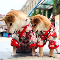 Dog and cat summer clothes Japanese pet clothing cat and dog clothes kimono with a big bow dress up for small dogs and cats pets Clothing Shoes Access