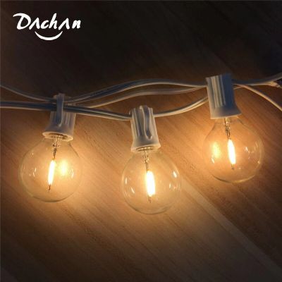 25Ft G40 Globe Bulb String Lights With 25 Clear Ball Vintage Bulbs Warm White Ambience Indoor/Outdoor Hanging Umbrella Patio