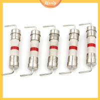 Aleaty? 5pcs 8A 250V 5*20mm Ceramic Body time-LAG Axial Lead FUSE