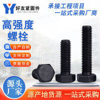 8.8 สลักเกลียวความแข็งแรงสูง สลักเกลียวชายความแข็งแรงสูง เกรด Oxidized Black Screw สลักเกลียวเกลียวทั้งหมด