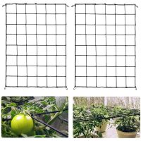 Garden Fence Mesh Grow Tents Bean Trellis Flexible Plant Climbing Steel 4/6 Hooks Home Plant Knitting Elastic Netting Farm