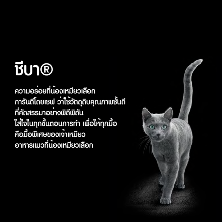 ส่งฟรี-ขายดี-sheba-ชีบา-ฟิเลต์-อาหารแมว-ชนิดเปียก-อาหารแมวพรีเมียมสำหรับแมวโตเต็มวัย-60-ก