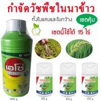 Best - กำจัดหญ้าในนา เอโซ่ 1 ลิตร + บิสไพริแบค -โซเดียม 300 กรัม กำจัดวัชพืช กำจัดวัชพืช ทั้งใบแคบและใบกว้าง ยาปราบวัชพืช