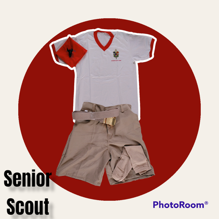 Scout Uniform Senior Scout / BSP | Lazada PH