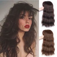 Pageup Synthetic Wig With Bangs Hair Toppers Clip In Resistant