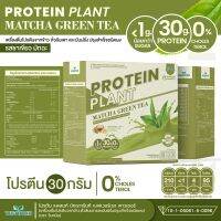 Protein Plant โปรตีนแพลนท์ สูตร 1 (รสชาเขียว มัทฉะ) โปรตีนจากพืช 3 ชนิด ออแกนิค โปรตีนจากข้าว ถั่วลันเตา มันฝรั่ง ปรุงสำเร็จชนิดผง 1 กล่อง 7 ซอง