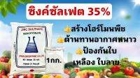 ซิงค์ซัลเฟต สังกะสีซัลเฟต แบบผง ขนาด 1 กิโลกรัม