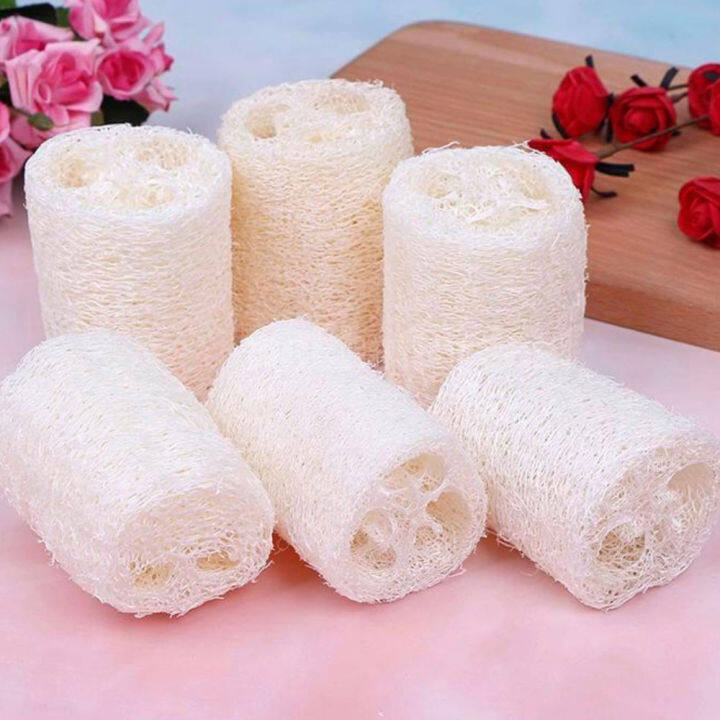 76 Ruth Natural Loofah Luffa Loofa Exfoliating Bath Shower Sponge Body