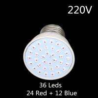 【✱2023 HOT✱】 CLLLL SHOP Yingke 1ชิ้น3W/5W ไฟพืชเติบโต220V/110V 36 Leds 72 Leds โคมไฟสวนเรือนกระจกปลูกพืชเนอสเซอรี่ผักดอกไม้เพิ่มแสง