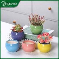 【CC】 Ornaments Succulent Household Pot Office Garden Supplies Potted With Breathable Hole