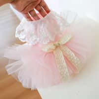 Lace Summer Wedding Pet Dress For Small Dog Pink White Party Dog Vest Shirt Cat Puppy Bow Knot Dress Clothes With Tutu Skirt Dresses