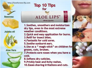 Forever Living Aloe Lips with Jojoba Family 12-Pack 